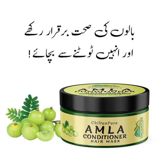 amla-hair-conditioning-mask-keep-hair-follicles-amp-scalp-healthyaaml-176101
