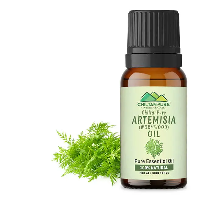 artemisia-essential-oil-wormwood-essential-oil-acts-as-an-emmenagogue-relieves-nervous-afflictions-prevents-microbial-infections-20ml-246150