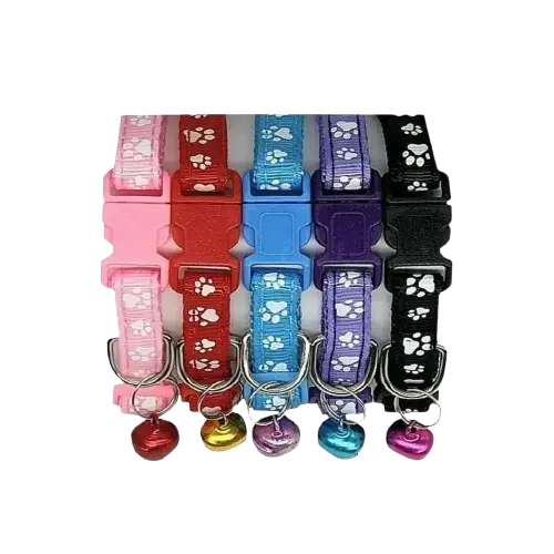 12-11-removebg-preview