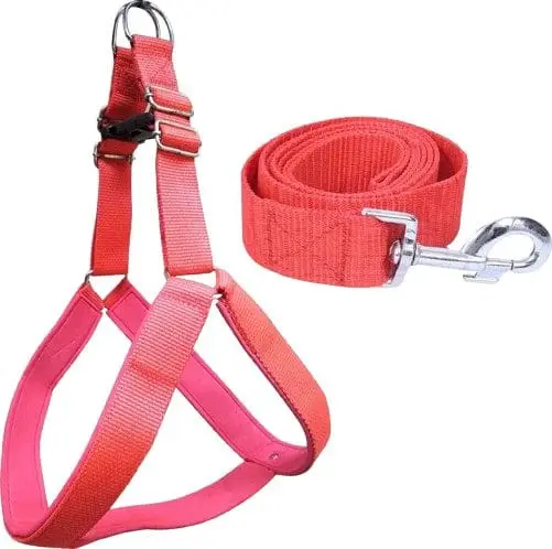 dog-belt-1-5inch-red-dog-body-harness-belt-for-big-dogs-1-5m-original-imafsdwr8j9kcagj-removebg-preview