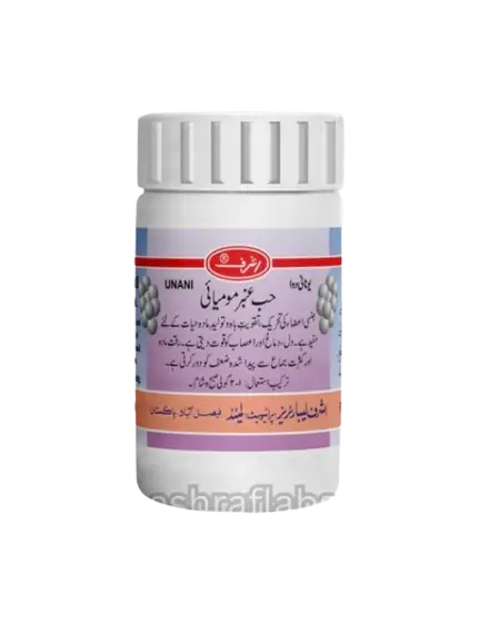 image_2023-12-30_164213258-removebg-preview