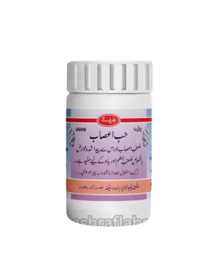 image_2023-12-30_125401179-removebg-preview