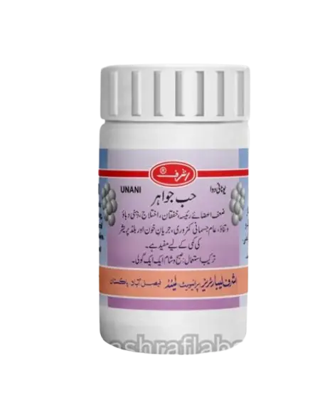 image_2023-12-30_102012261-removebg-preview