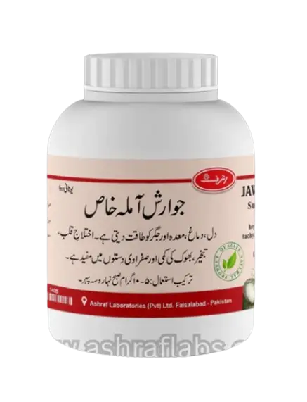 image_2023-12-30_175305114-removebg-preview