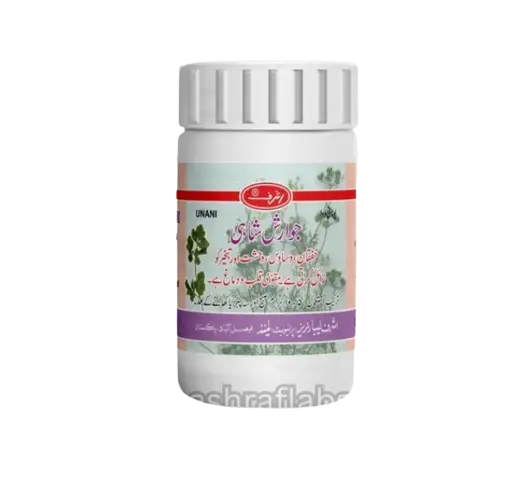 image_2023-12-30_183612692-removebg-preview