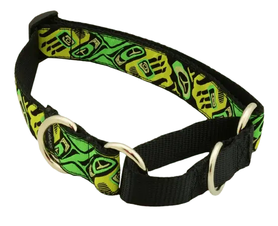 dog-training-collar-soft-choke-xl-1-25-inch-bear-claw-lime_1600x-removebg-preview
