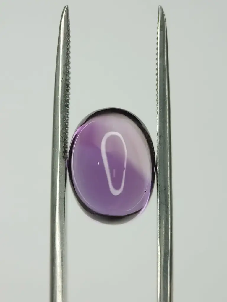 WhatsApp Image 2022-09-16 at 12.37.41 PM