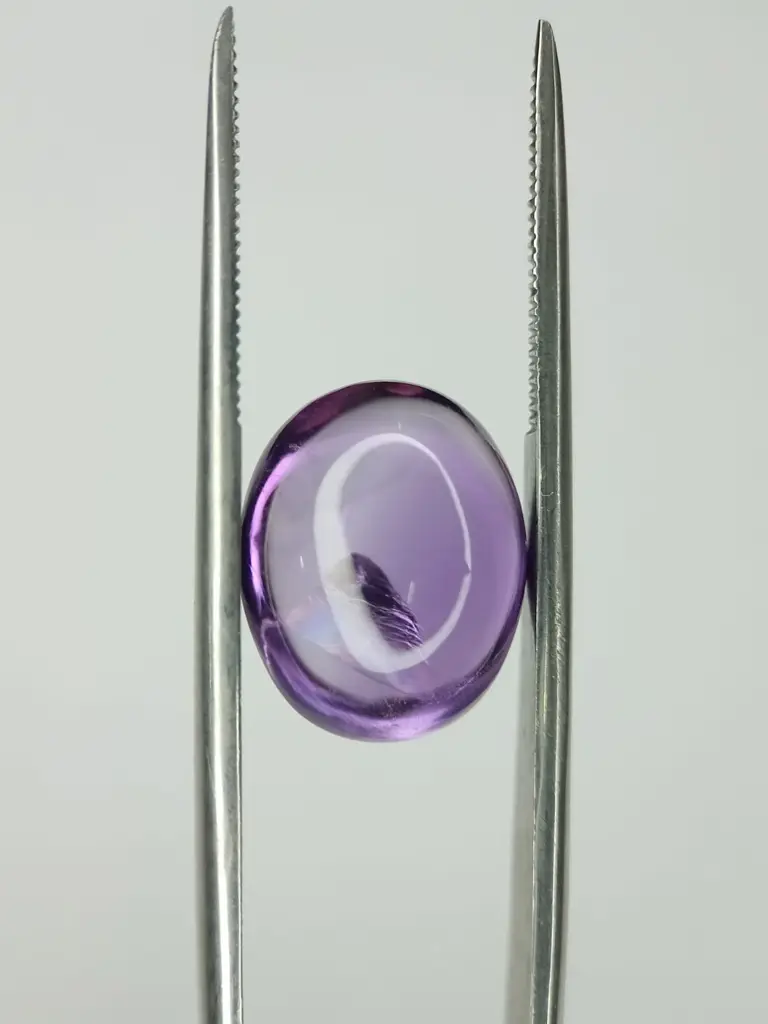 WhatsApp Image 2022-09-16 at 12.29.20 PM