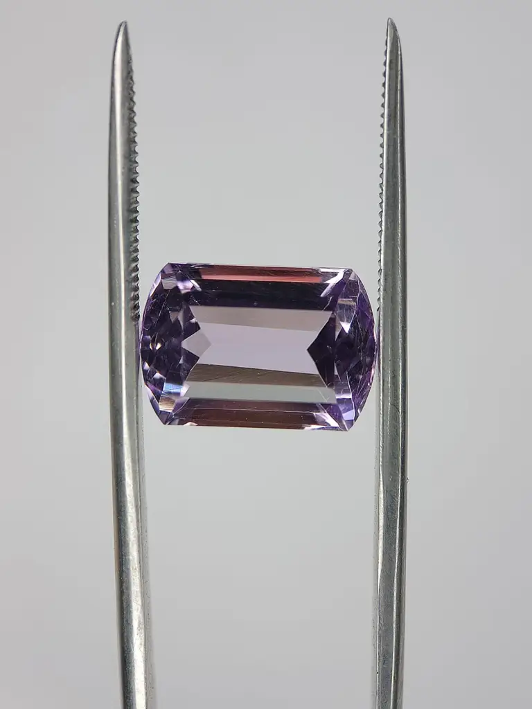 WhatsApp Image 2022-09-16 at 12.07.56 PM