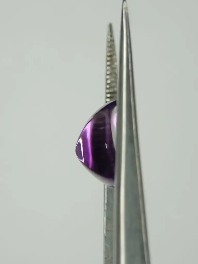 WhatsApp Image 2022-09-16 at 12.33.18 PM