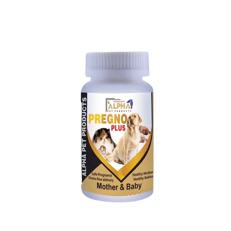 Pregno-Plus-for-Mother-and-Baby-800x800