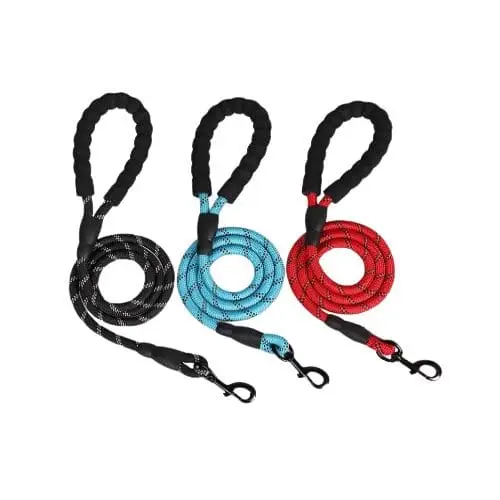 New-Project-2022-12-26T155731.581