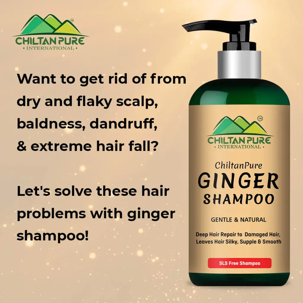 ginger-shampoo-reduce-hair-loss-detoxifies-hair-strands-prevents-scalp-itchiness-restores-hair-manageability-250ml-366939