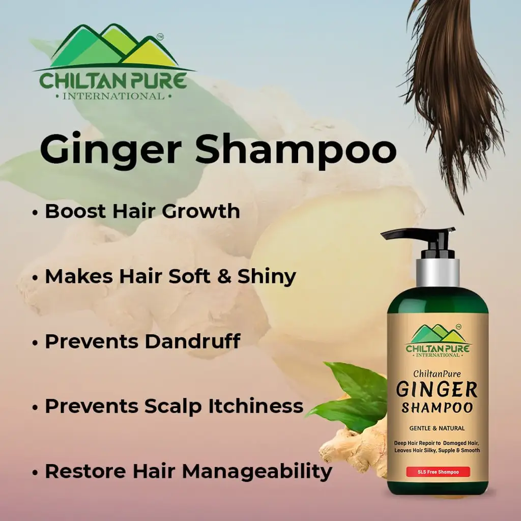 ginger-shampoo-reduce-hair-loss-detoxifies-hair-strands-prevents-scalp-itchiness-restores-hair-manageability-250ml-169259
