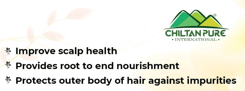 Opera Snapshot_2024-03-19_125215_chiltanpure.com