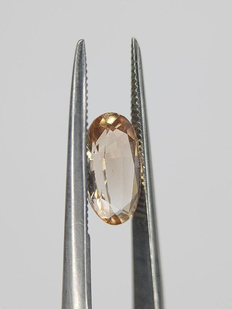 WhatsApp Image 2022-09-16 at 11.13.12 PM (1)