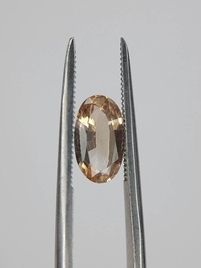 WhatsApp Image 2022-09-16 at 11.13.11 PM