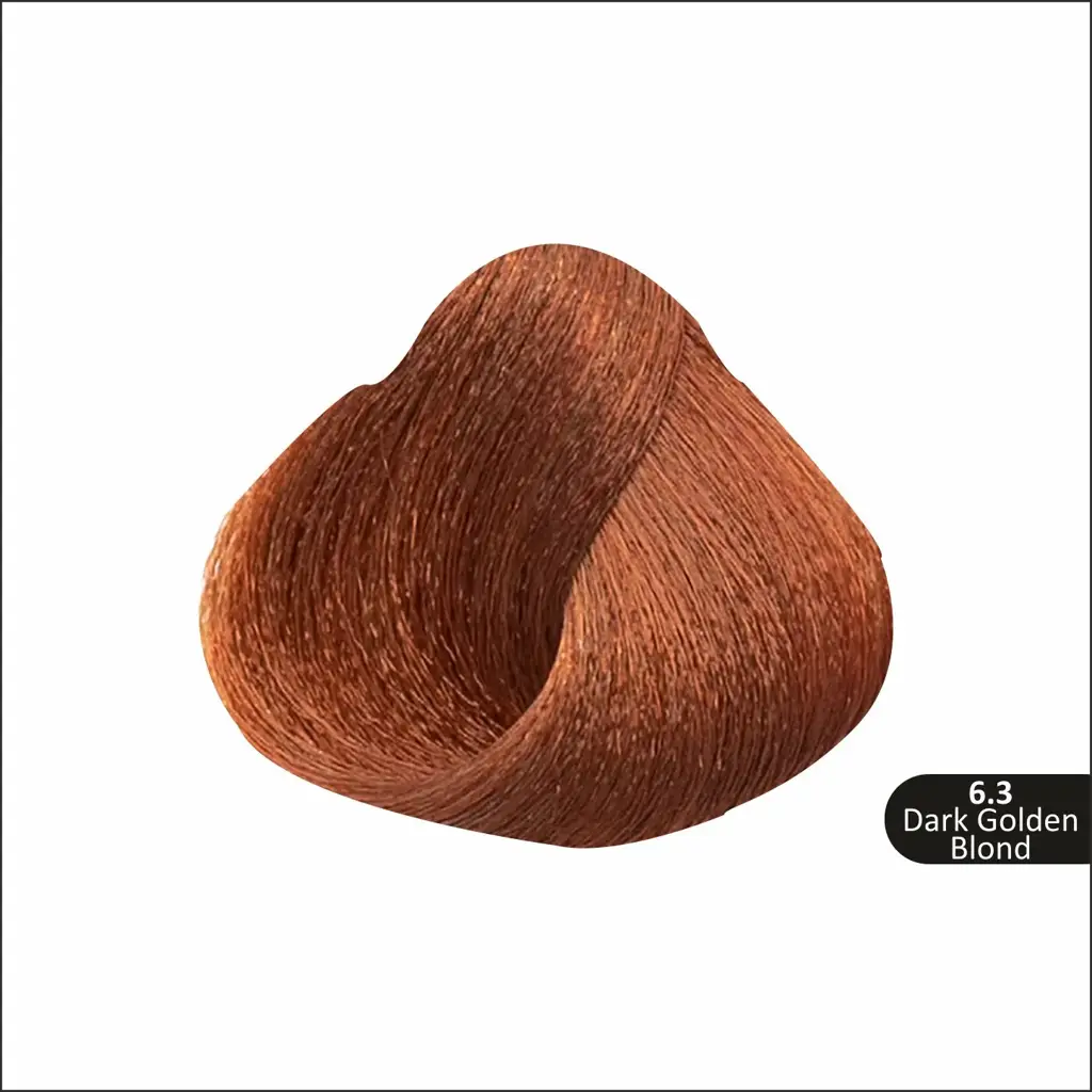 11_573ec504-ad36-477d-a789-8c9b3ece59aa