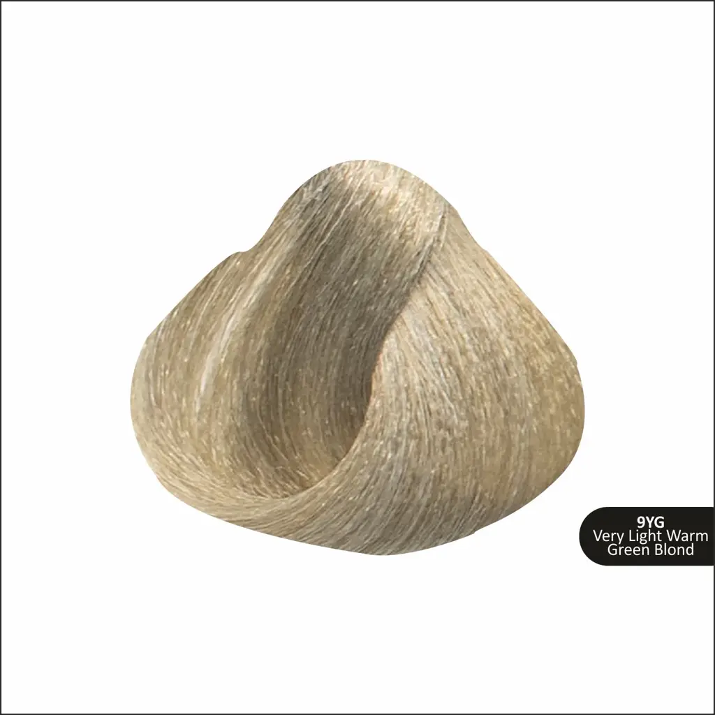 14_67254088-6b73-43c8-8274-801ab5ce0653