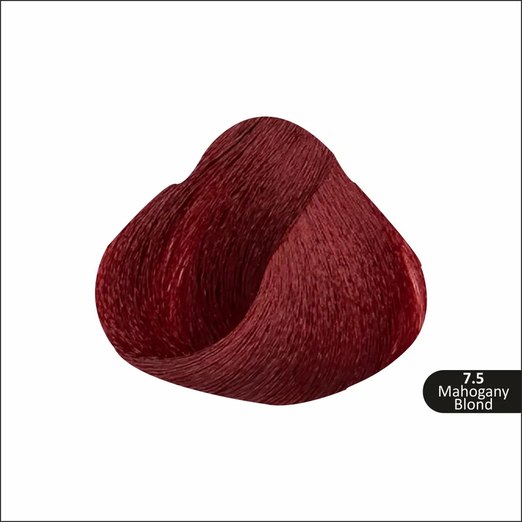 24_f95a3f59-6239-4fbb-9fa1-0d8eae4e0b63