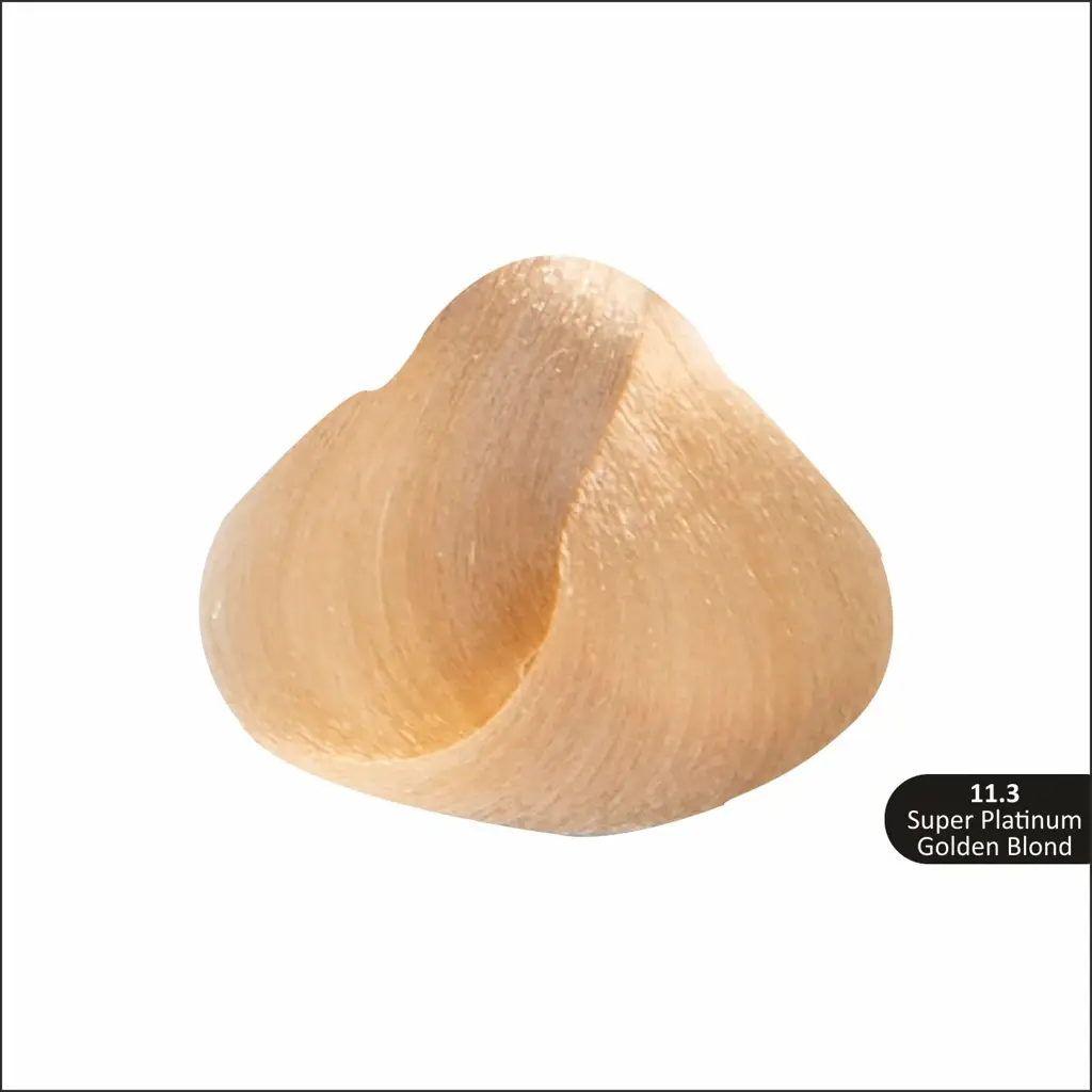 44_fb8efbd4-067d-4e52-8310-6482c25c87f8