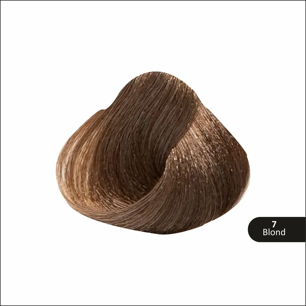 37_49bed6ea-c260-4c3d-a94a-733cafce18ea