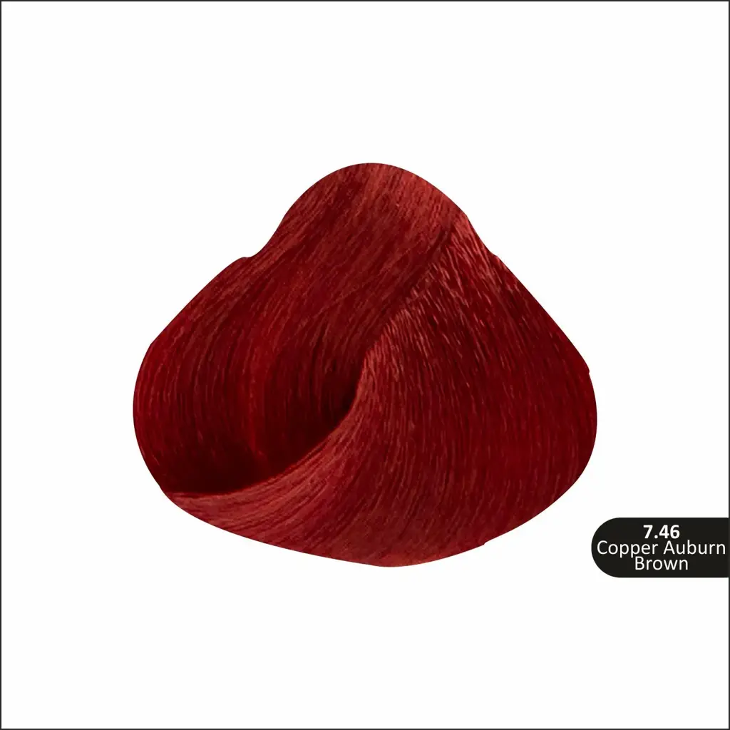 54_6a0e9140-1226-4bcc-9e0c-d05cd5523d86