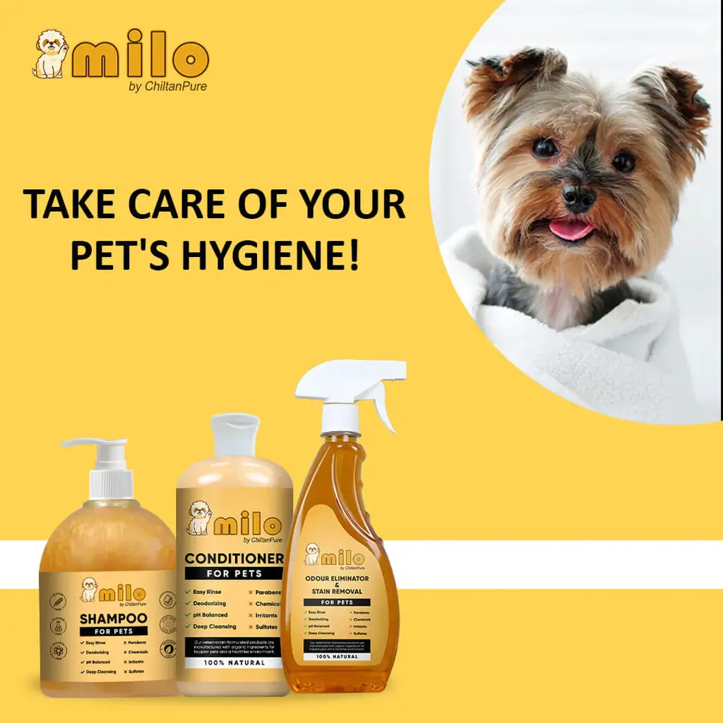 milo-pet-care-kit-pet-conditioner-pet-shampoo-pet-odour-eliminator-stain-removal-987292
