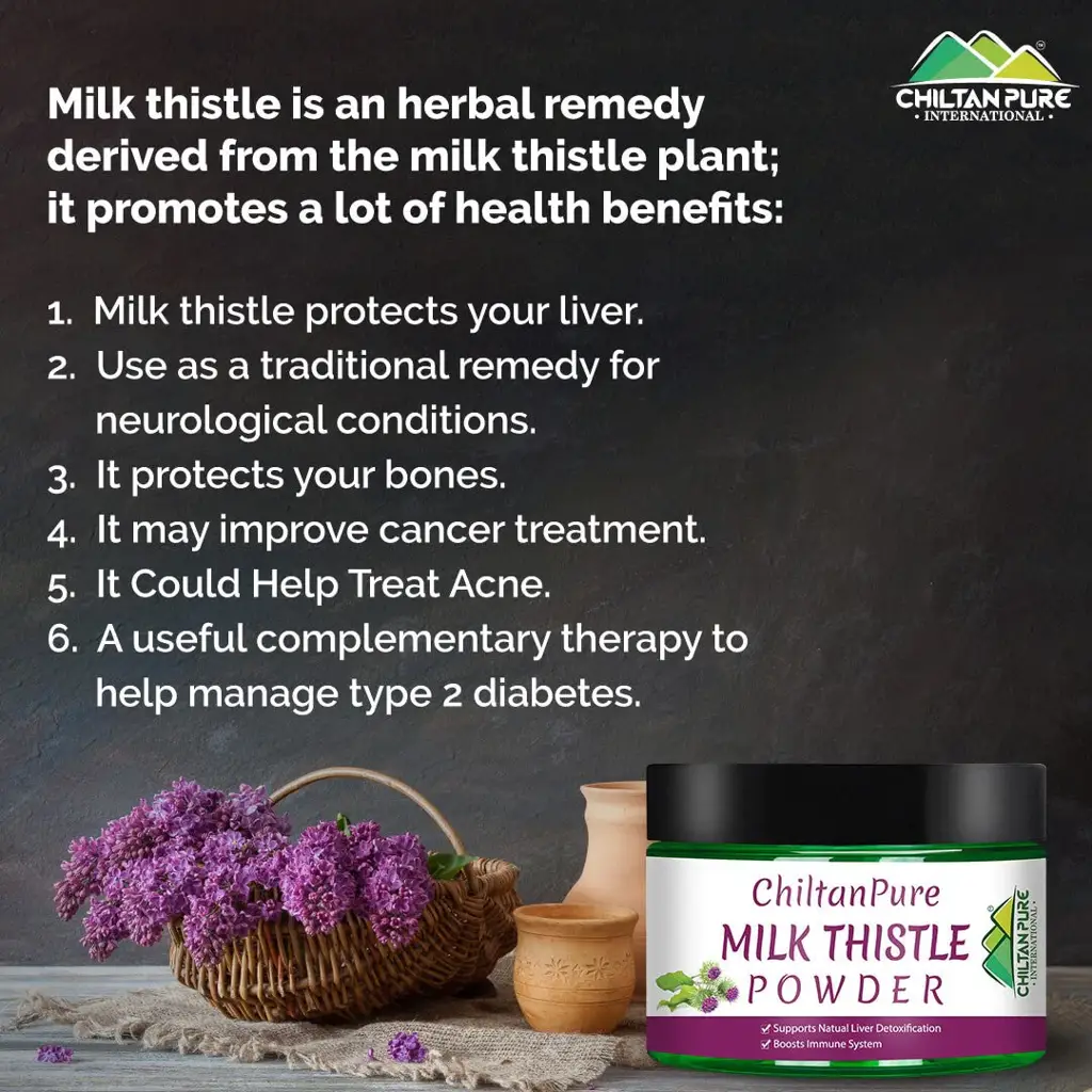 milk-thistle-powder-supports-natural-liver-detoxification-boosts-milk-production-immune-system-good-for-bones-779177