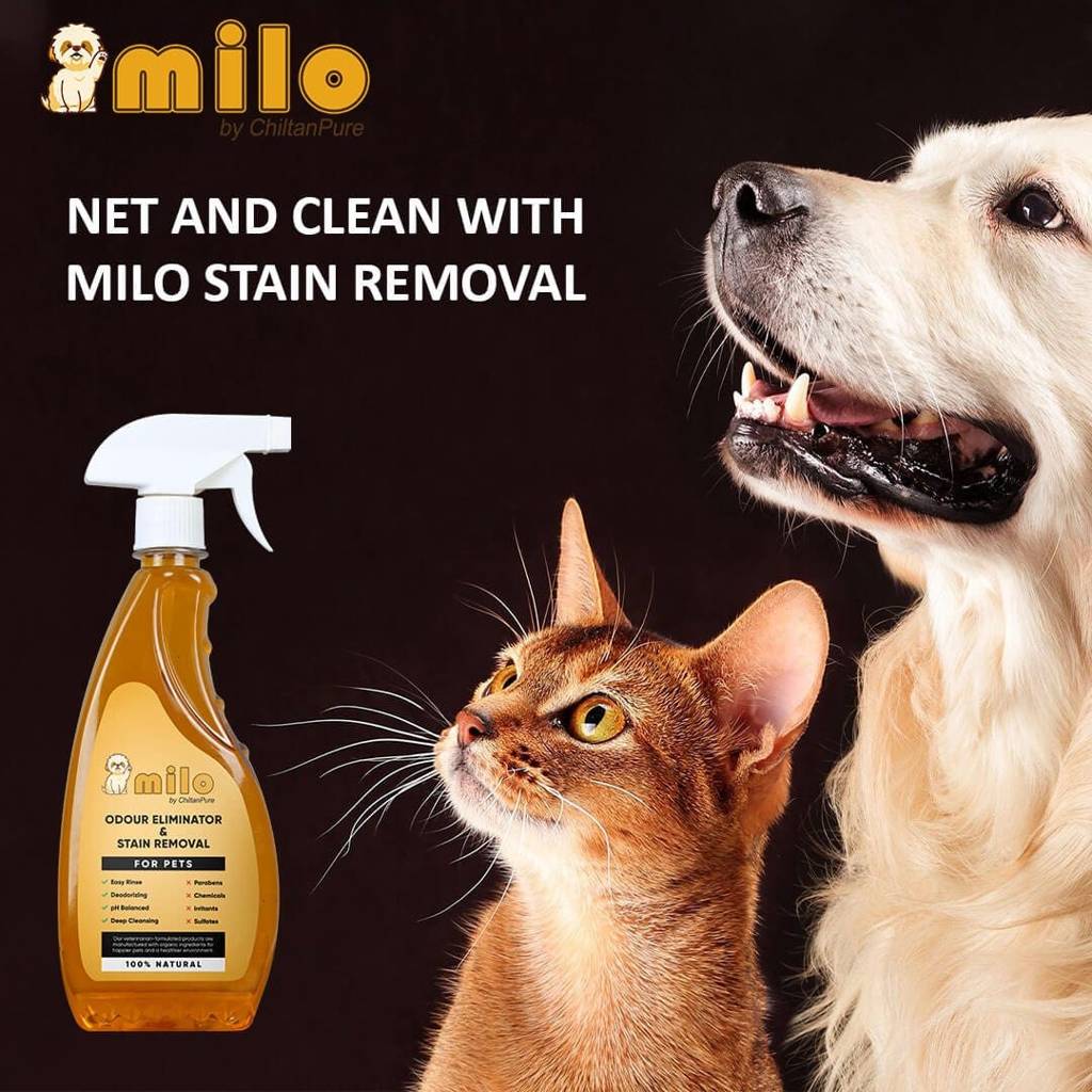 milo-pet-odour-eliminator-stain-removal-natural-bio-enzymatic-formula-eliminate-pets-bad-odour-remove-tough-stains-500ml-459112