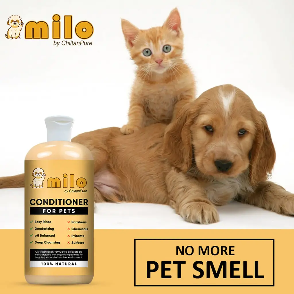milo-pet-conditioner-nourishes-hair-control-hair-fall-prevent-itchiness-gives-shiny-hair-long-lasting-freshness-250ml-216216