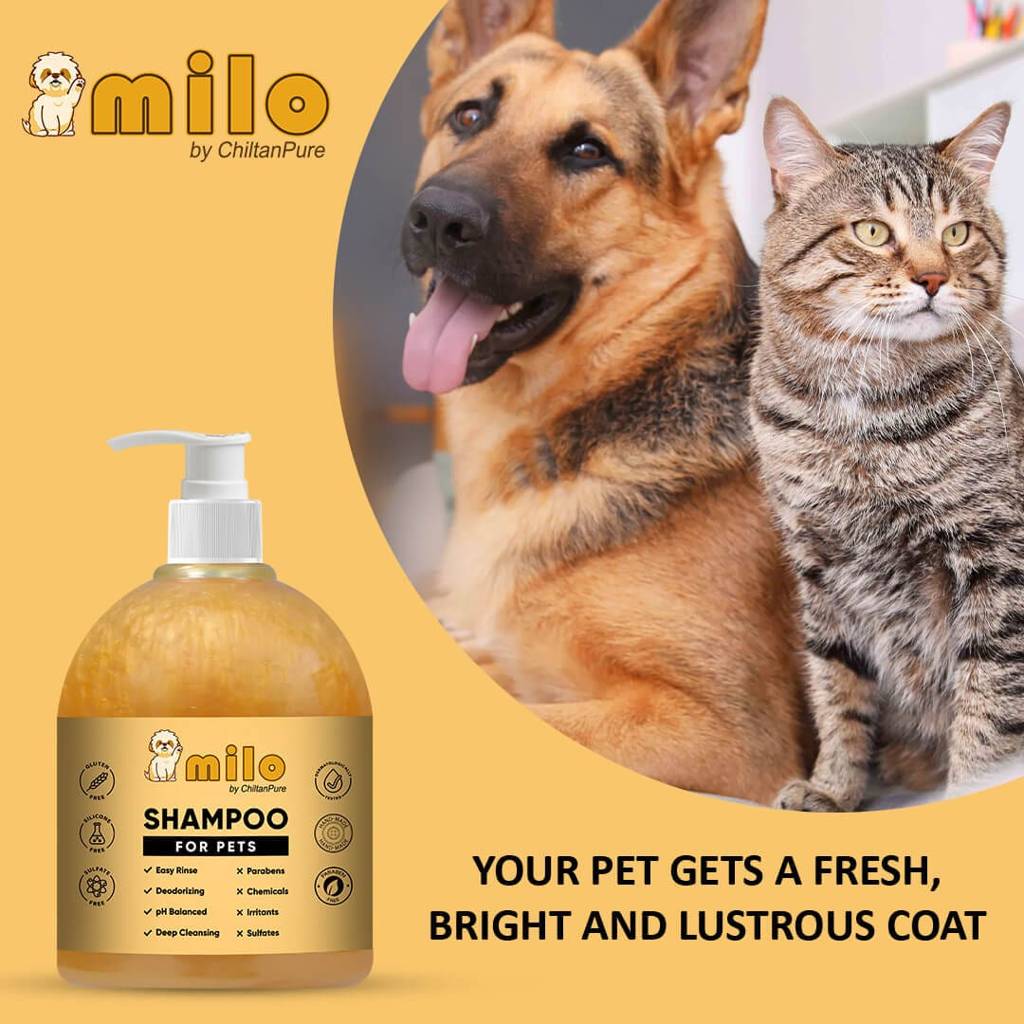 milo-pet-shampoo-anti-dandruff-gently-cleanse-hair-avoid-shedding-prevent-infections-500ml-282550