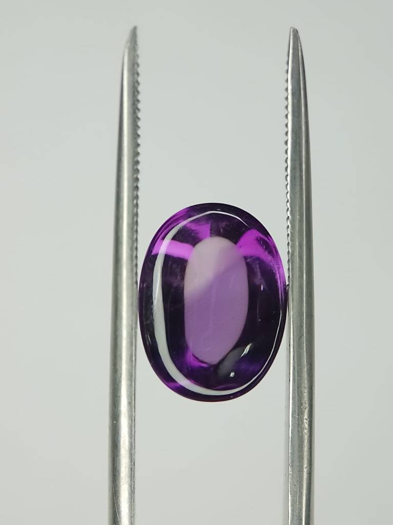 WhatsApp Image 2022-09-16 at 12.37.42 PM