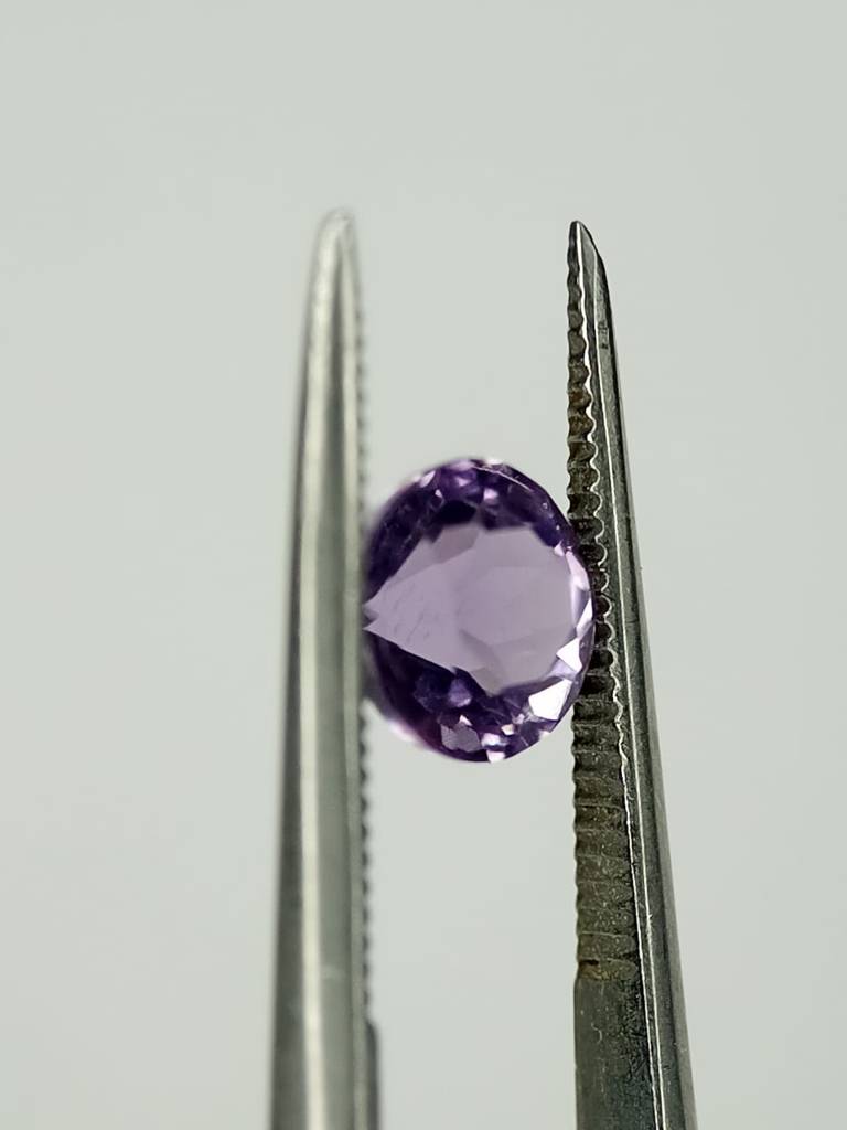 WhatsApp Image 2022-09-16 at 12.41.11 PM