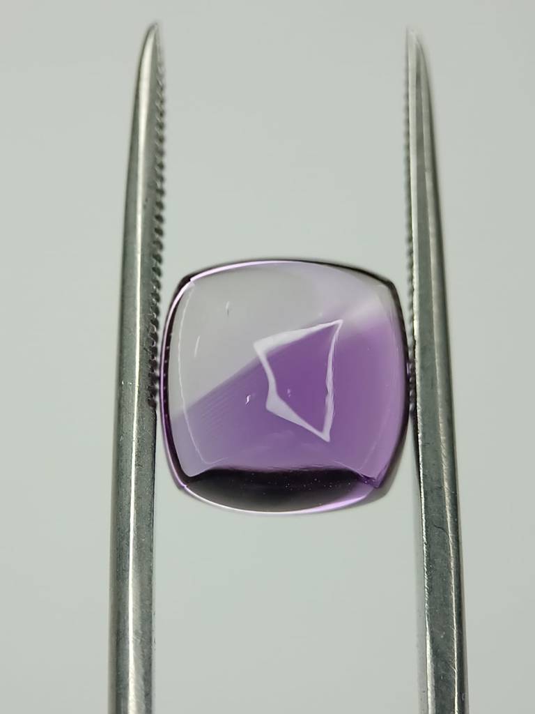 WhatsApp Image 2022-09-16 at 12.33.17 PM