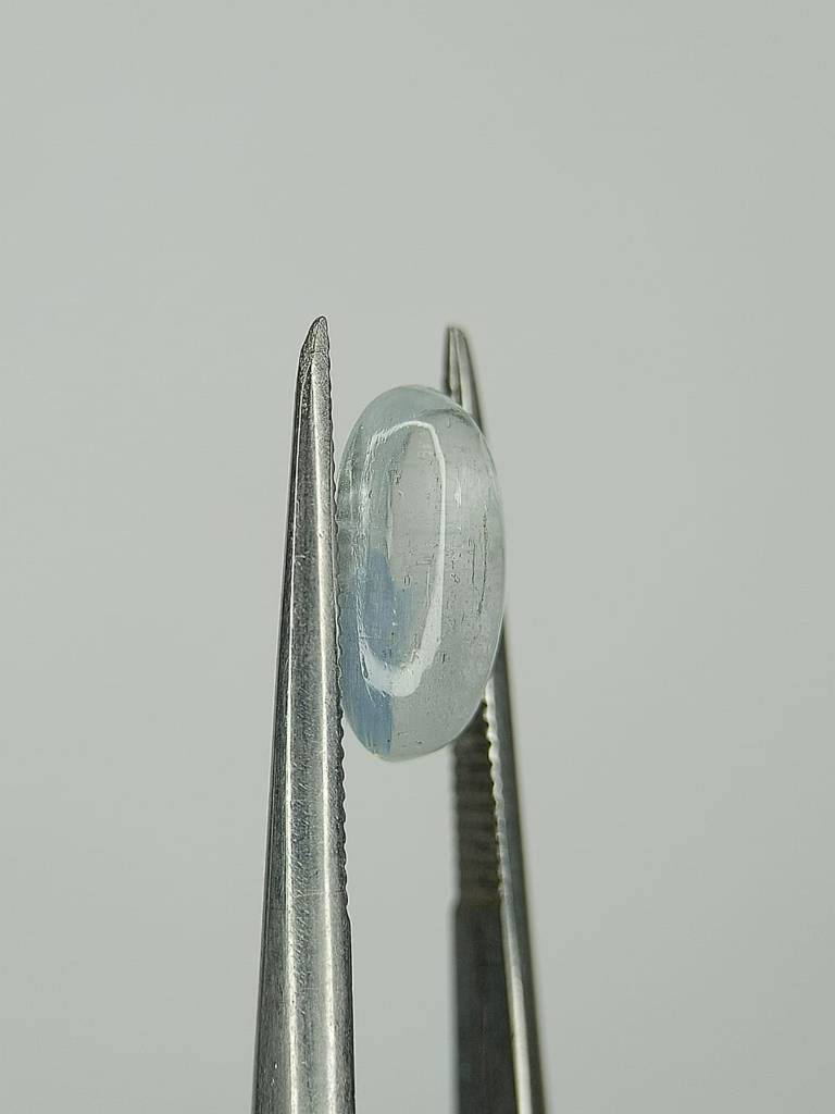 WhatsApp Image 2022-09-19 at 6.33.30 PM