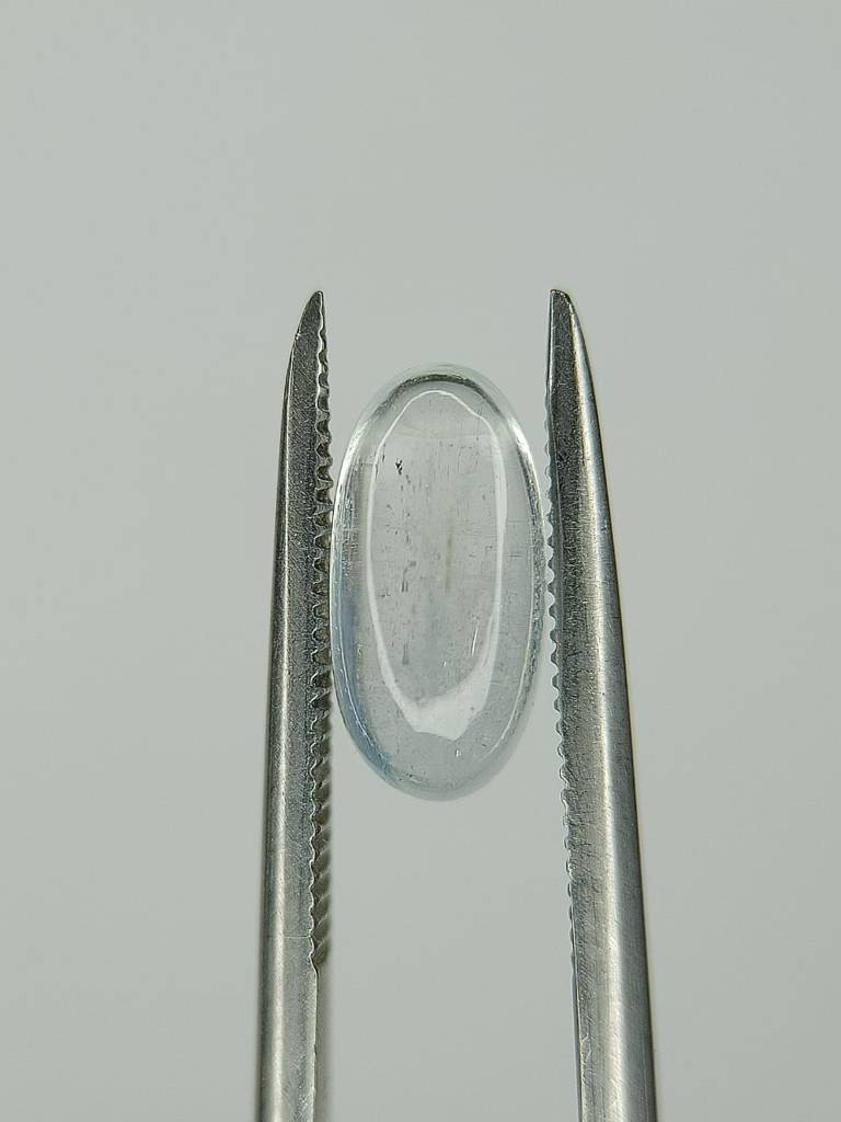 WhatsApp Image 2022-09-19 at 6.33.29 PM