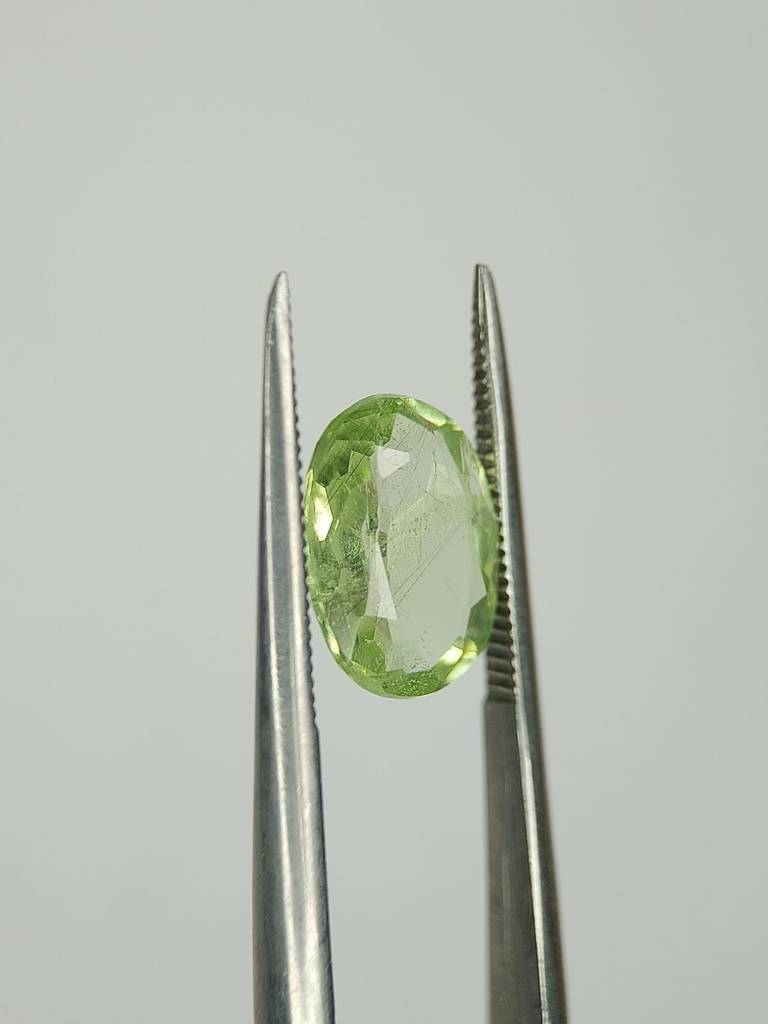 WhatsApp Image 2022-09-29 at 11.21.17 AM