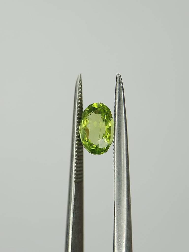 WhatsApp Image 2022-09-29 at 10.56.21 AM (2)