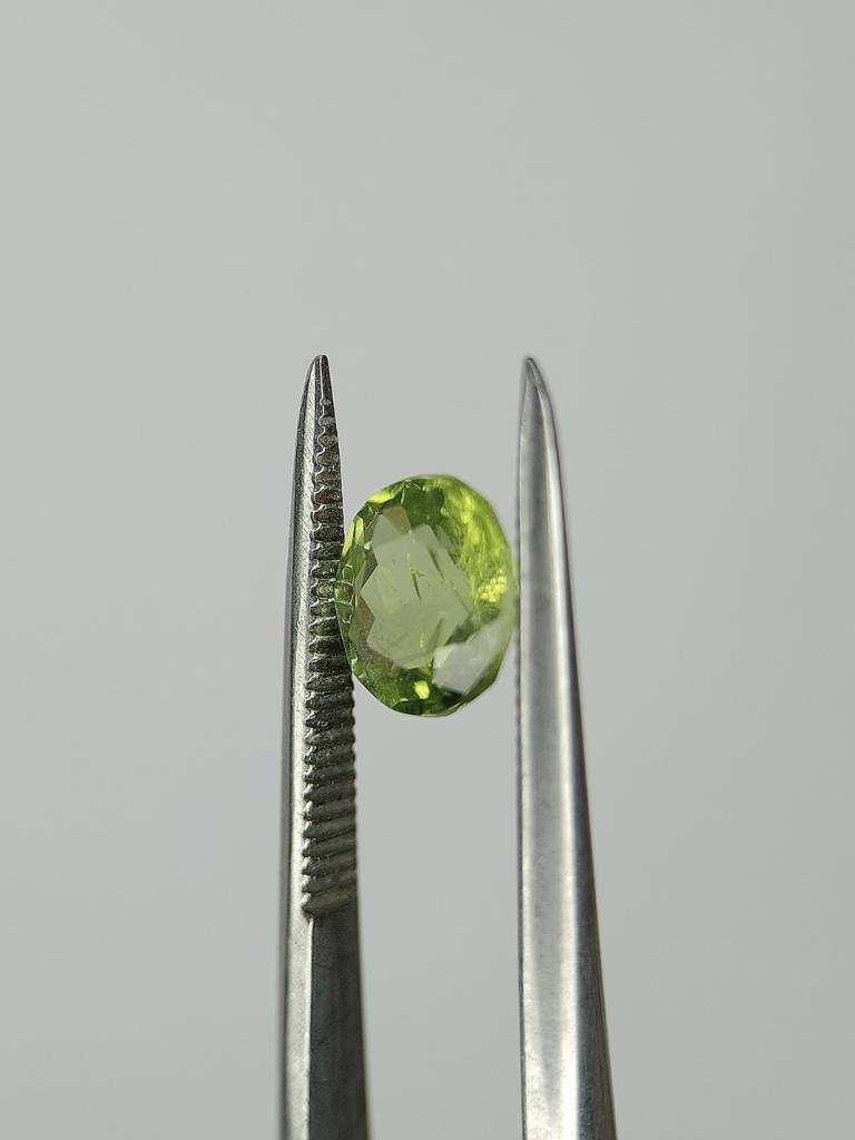 WhatsApp Image 2022-09-29 at 10.53.17 AM