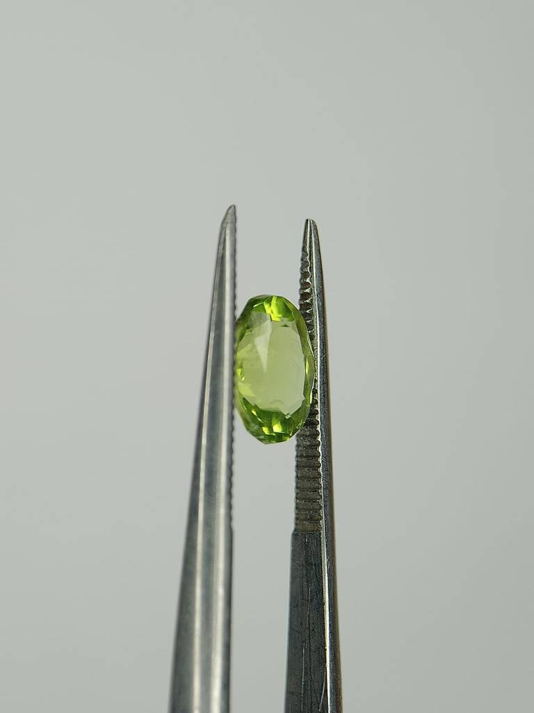 WhatsApp Image 2022-09-29 at 10.56.21 AM (3)