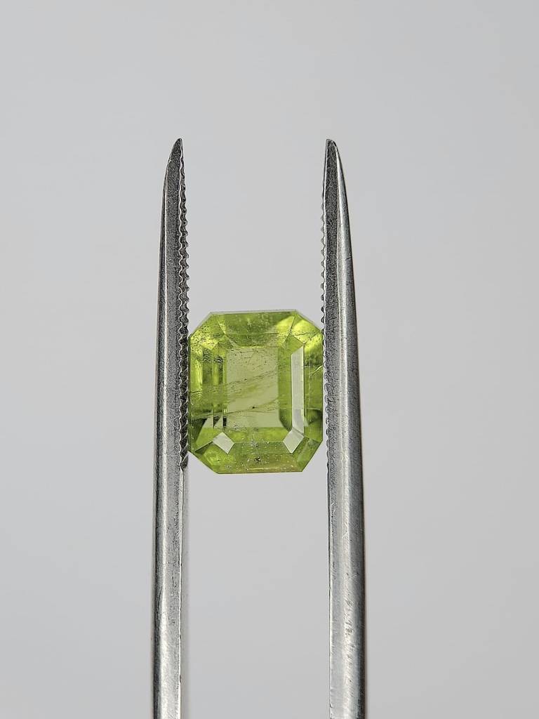 WhatsApp Image 2022-09-29 at 11.24.14 AM