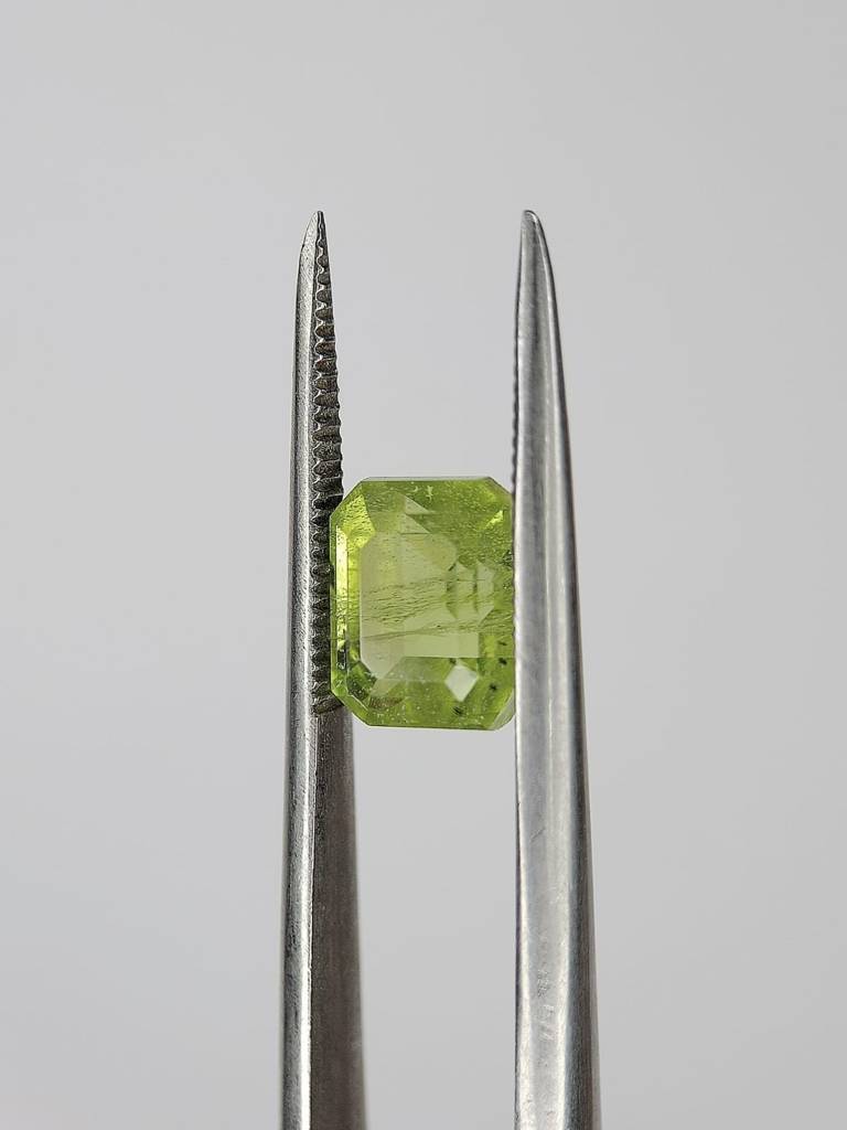 WhatsApp Image 2022-09-29 at 11.24.13 AM