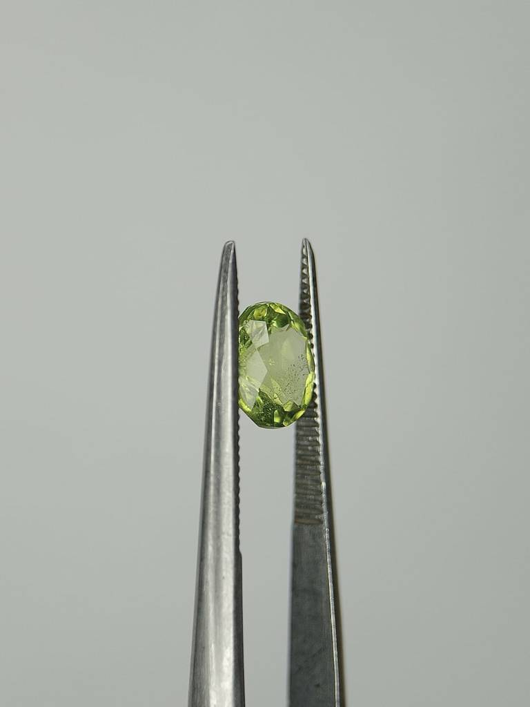 WhatsApp Image 2022-09-29 at 10.53.16 AM (2)