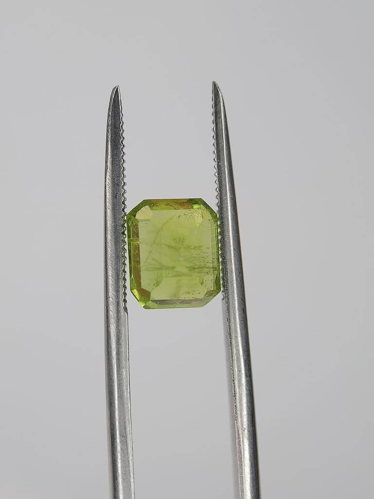 WhatsApp Image 2022-09-29 at 11.24.14 AM (1)