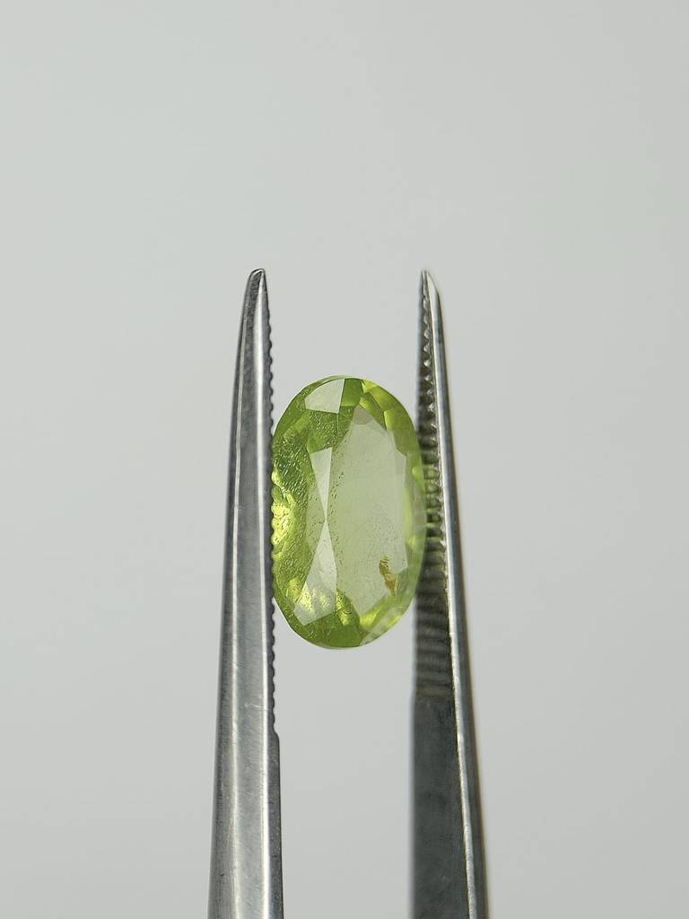 WhatsApp Image 2022-09-29 at 11.10.05 AM