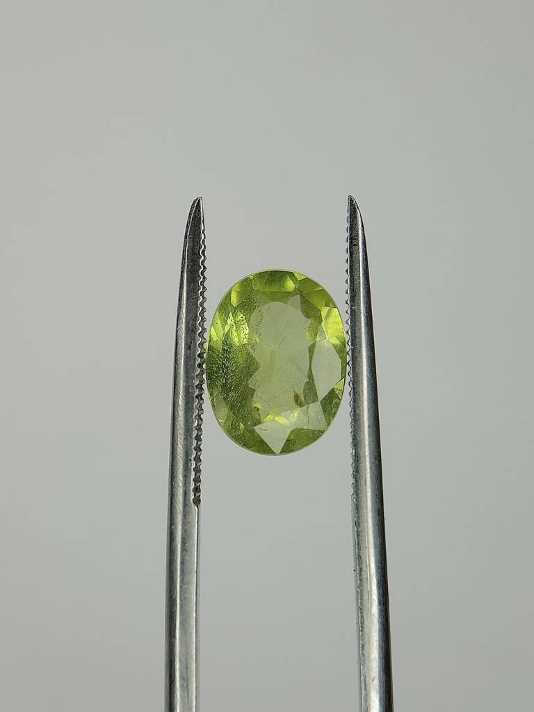 WhatsApp Image 2022-09-29 at 11.10.03 AM (1)