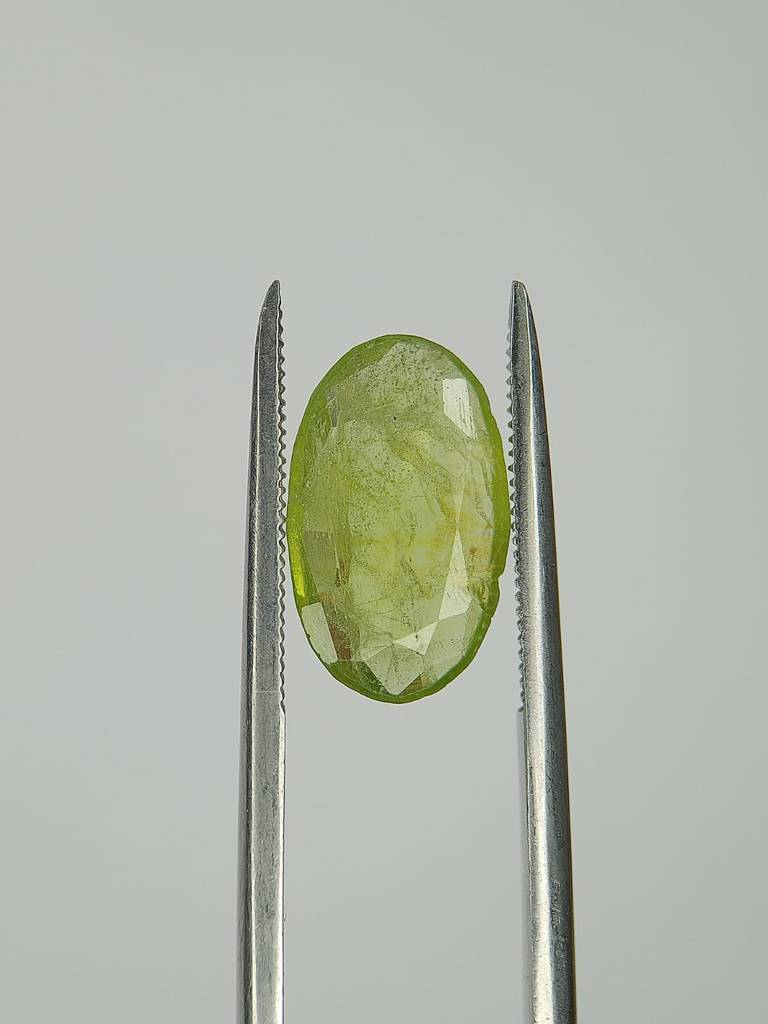 WhatsApp Image 2022-09-29 at 10.40.38 AM