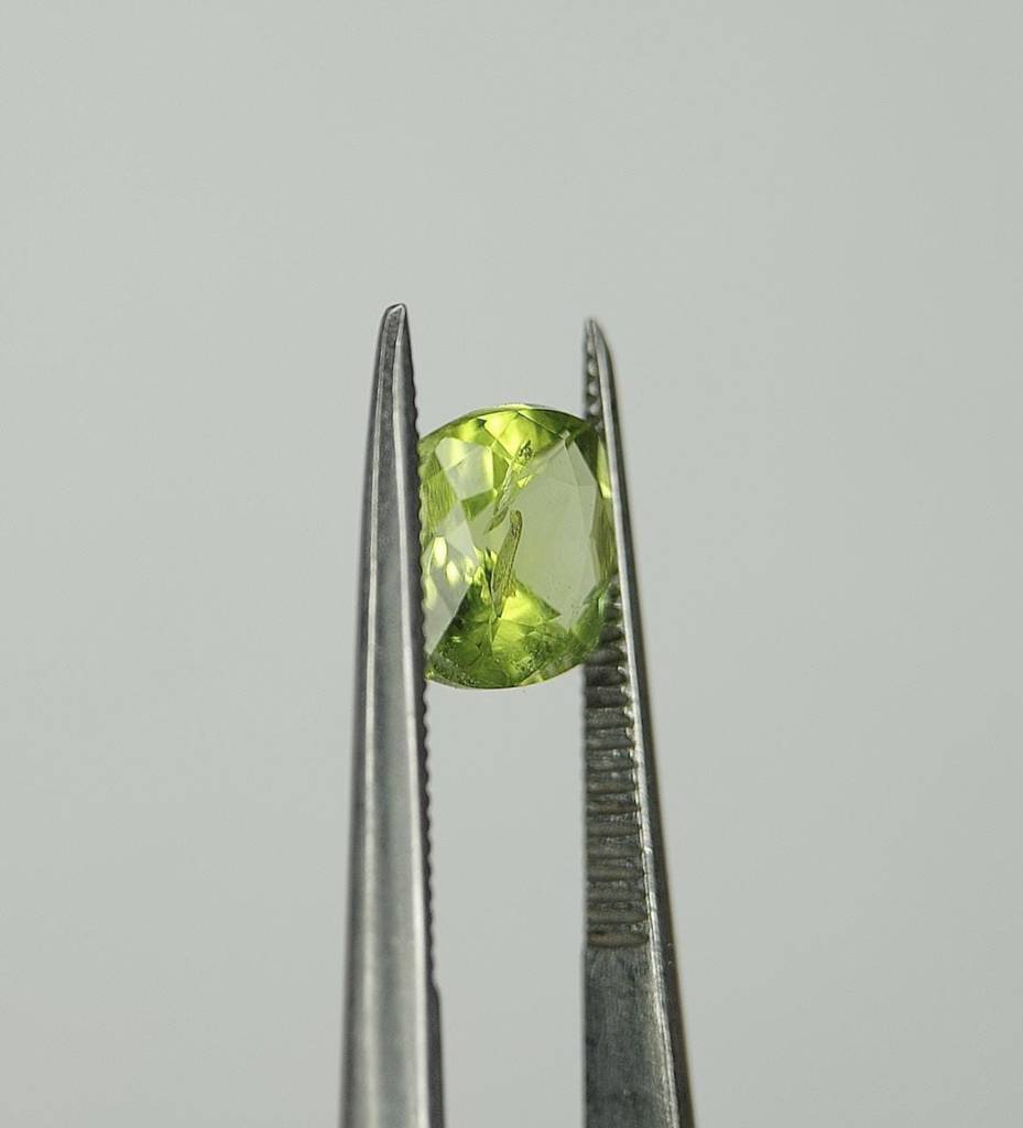 WhatsApp Image 2022-09-29 at 11.17.36 AM