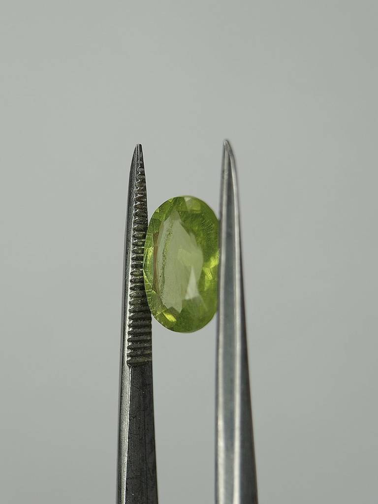 WhatsApp Image 2022-09-29 at 11.10.05 AM (1)